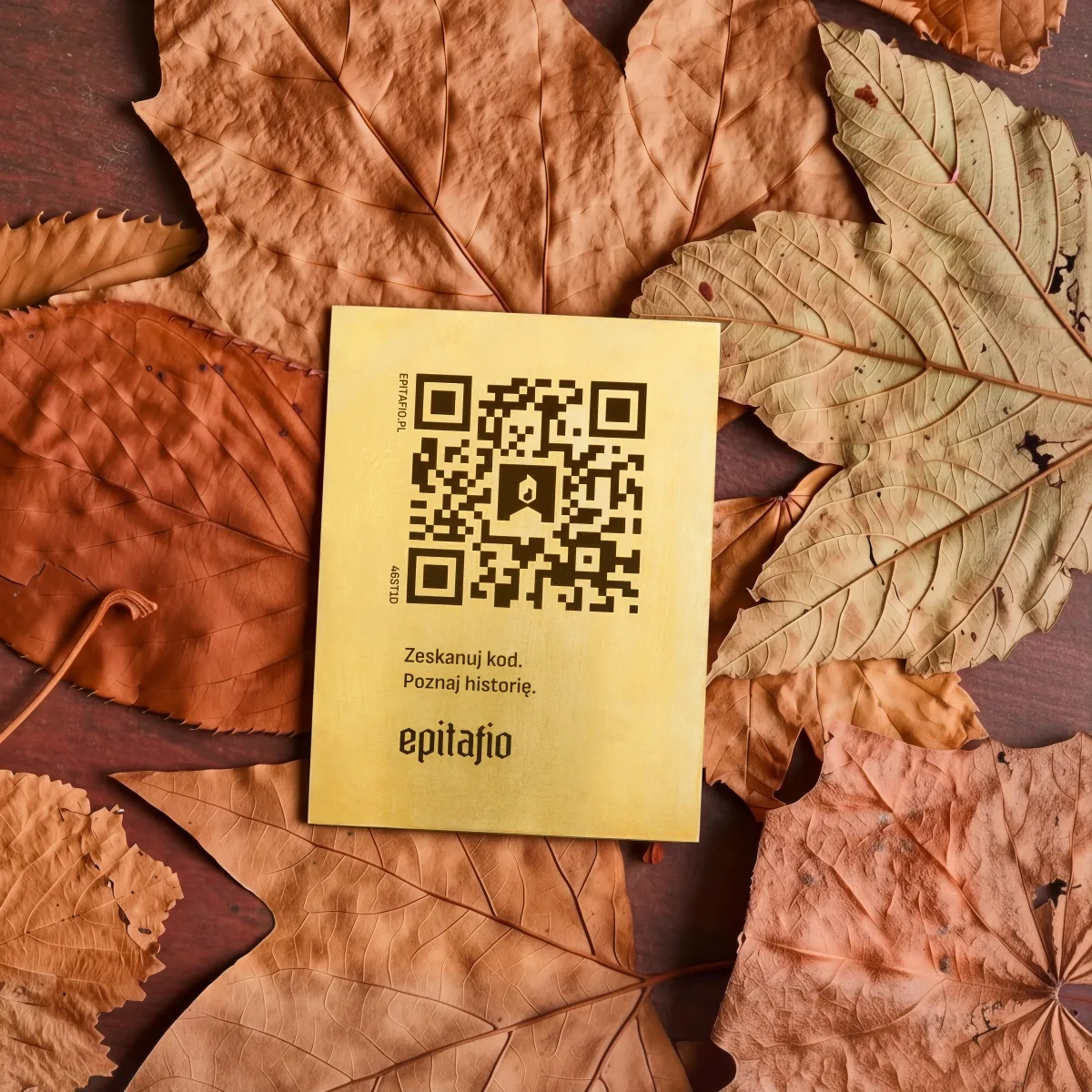 Kod qr na nagrobek z mosiądzu.